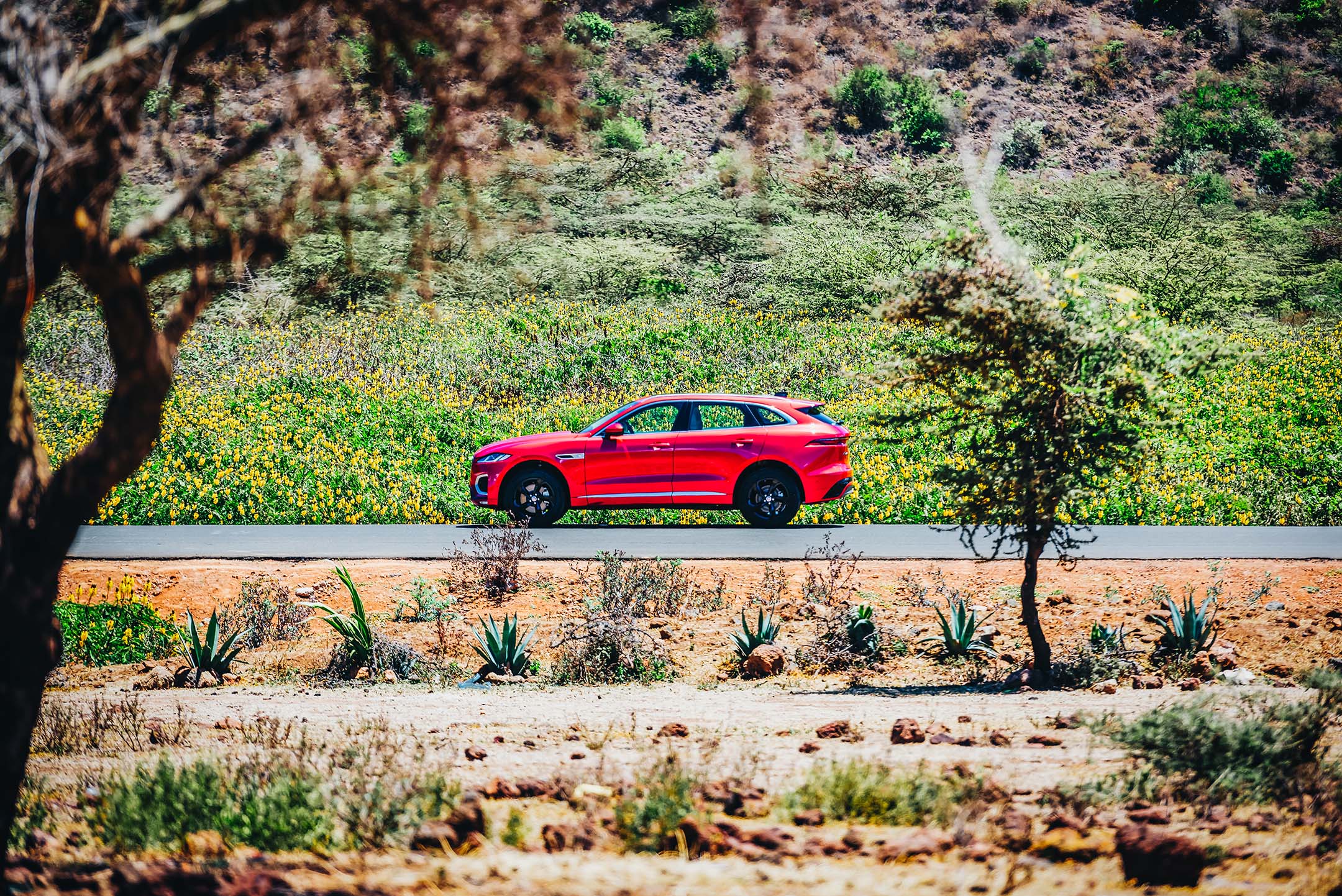 Jaguar-F-Pace-2021-Inch-Cape-Nairobi-Kenya