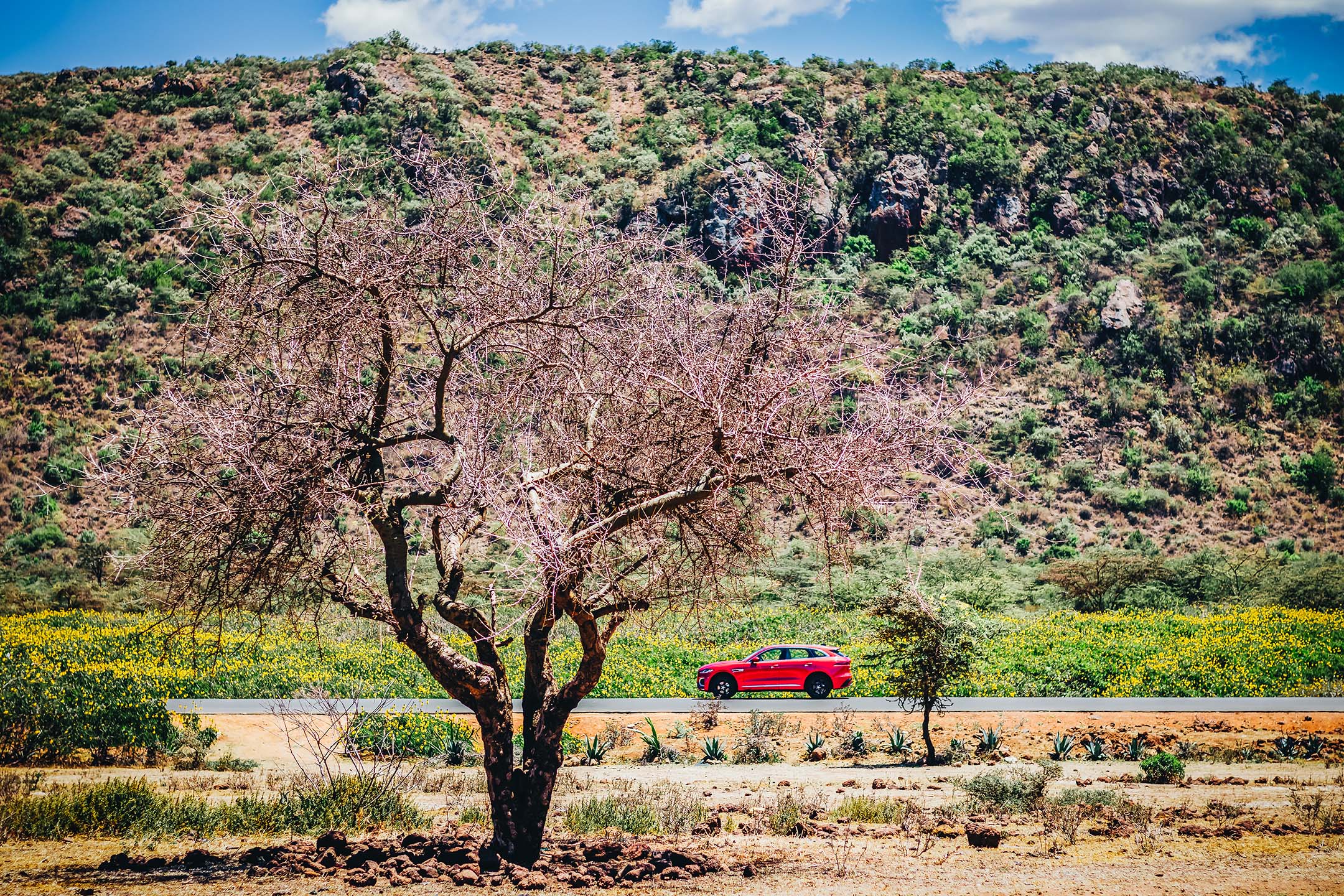 Jaguar-F-Pace-2021-Inch-Cape-Nairobi-Kenya